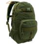 Plecak Wisport Forester 28 L Olive Green